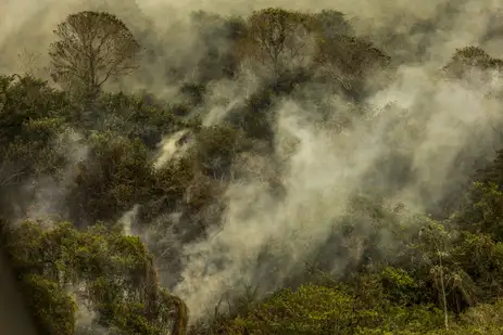 Corumbá (MS), 30/06/2024 - Imagens aéreas mostram áreas devastadas pelo fogo no Pantanal. Foto: Marcelo Camargo/Agência Brasil