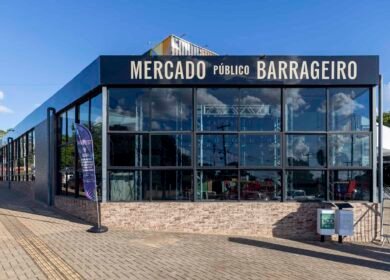 54210408936 af8ae17524 k