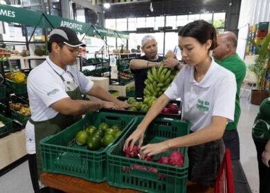 WhatsApp Image 2025 03 10 at 09.53.57