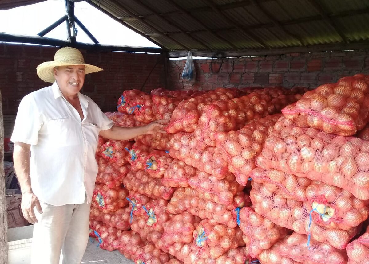 Préstamos, Producción, Cebollas, Papa, Tomate,