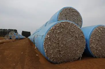 Balsas (MA), 09/10/2025 – Produção de algodão em fazenda na região da Batavo. Foto: Fernando Frazão/Agência Brasil
