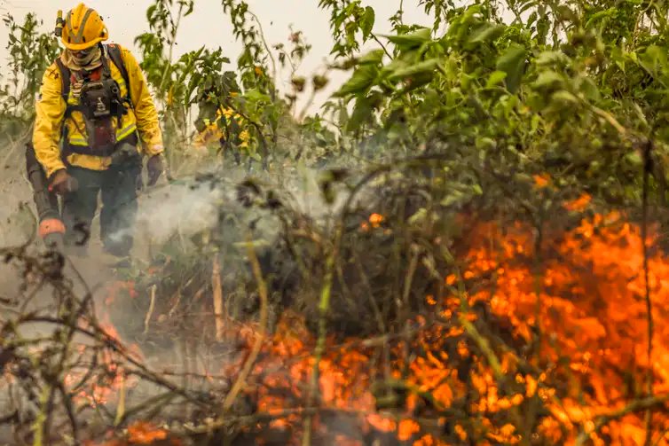 Marcelo Camargo/Agência Brasil Corumbá (MS), 29/06/2024 - Com o auxílio de aviões, brigadistas do Prevfogo/Ibama combatem incêndios florestais no Pantanal. Foto: Marcelo Camargo/Agência Brasil