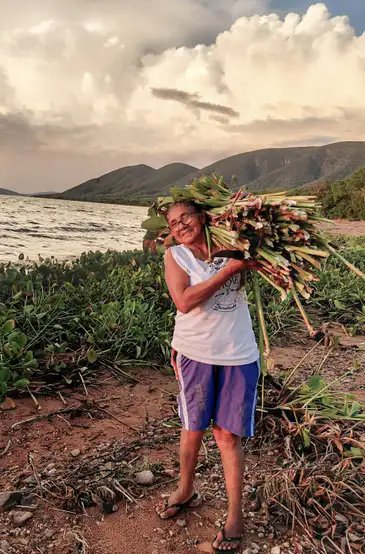 Eliane/Arquivo pessoal São Paulo (SP), 12/11/2025 – novo relatório do MapBiomas revela bioma reconfigurado em 40 anos.
Foto: Eliane/Arquivo pessoal