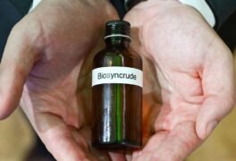 Na COP 30, Itaipu, CIBiogás e Itaipu Parquetec apresentam primeira amostra de bio-syncrude do Brasil.