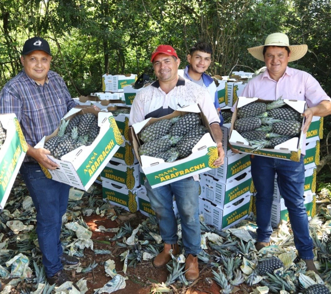 Más de Gs. 2.500 millones para la agricultura familiar mediante ...