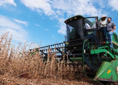 Capeco, soja, 2021, César Jure,