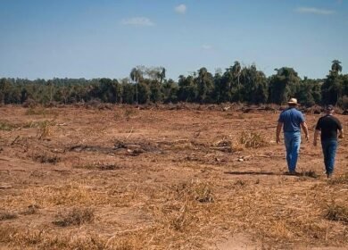 mades.santarita.intervención2026.fiscal