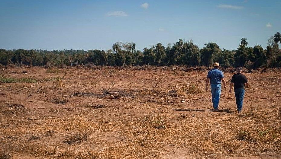mades.santarita.intervención2026.fiscal