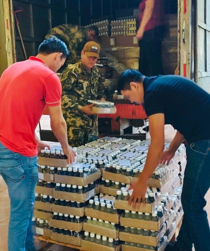 canindeyú.parquesanitario.lotedeinsumosymedicamentos.salud