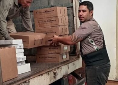 sistema de salud paraguarí.insumosymedicamentos.paraguarí