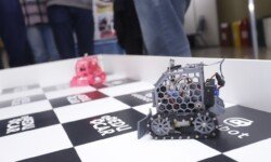 Projeto Taturana - Foto: PTI-BR